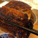 Unagi No Gama No Ho Yaki Gyuu Tan Yakitori Basashi Idumoo Osaka Fukushima - 