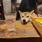 酒場ハイカラトンボ - 