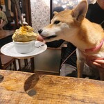 酒場ハイカラトンボ - 