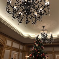 スプレンディード - 