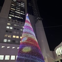 中国料理 燦宮 - 