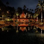 Nama - 2023年11月。アマンプリ