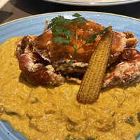 COLONIAL BEACH 横浜ハンマーヘッド - 