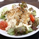 Koko Ichibanya - 蒸し鶏と大根のサラダ