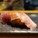 鮨 海宇 - 種類失念、上質な鰹
