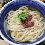 讃岐醤油うどん 青天上 - 料理写真:かけ580円