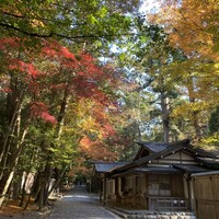 生簀割烹　海幸 - 最後の瀧原宮にて。伝わらないのは凛とした空気感。瀧原宮もとても良かったです