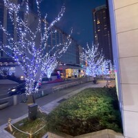 37 Steakhouse & Bar - 