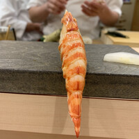 寿司赤酢・望月 - 