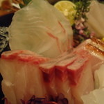 旬鮮炭火焼 獺祭 - 刺身アップ