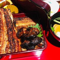 炭焼 うな富士 有楽町店 - 