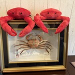 Deep Sea Crab - 