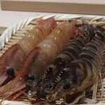 鮨 銀座 おのでら - ボタン海老と車海老