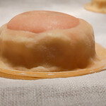 TATSUMI - ラヴィオローネの生地