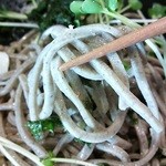 新橋ときそば - 「剣客そば」リフトアップ。