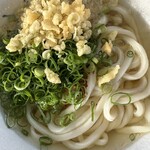 手打麺や 大島 - かけうどんアップ