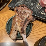 ジン鉄 - 