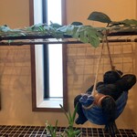 ファニープレイス - 