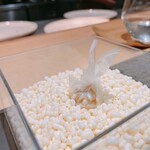 サンプリシテ - 