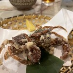 コンペイトウ - 