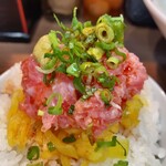 ヌードル＆スパイスカレー 今日の1番 - 