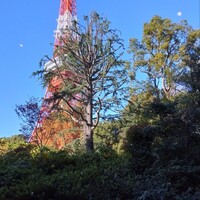 和食 清水 - 素晴らしい景観