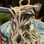 Tsukesoba Bonsai - 蕎麦リフト