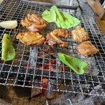 らくだ山 地鶏の店 - 