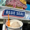 Buru Shiru - アイスクリーム•ダブル　ジュニアサイズ（塩ちんすこう、黒糖）