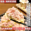 Hokkaidou Kaisen Nihonichi - 