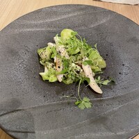 SCALAE - 