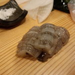 鮨処 多田 - 造り 生蝦蛄(能登)　この大きさは今年は中々手に入らないらしい　食べてません(汗)