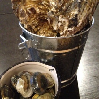 Our proud large Oyster! Please give it a try!