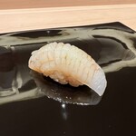 寺子屋 すし匠 - あおりいかのにぎり