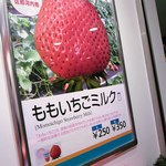 ジューサーバー 名駅太閤通北口店 - 