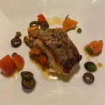 タヴォロッツァ - 