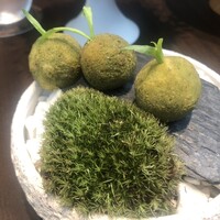 CYCLE by Mauro Colagreco - 葉がコンセプトの前菜