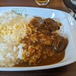 ガヴィアル - ビーフカレー