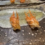天ぷら とばり - 小ぶりの車海老ですが、それがまた殻が食べやすく口溶けよく好みの食感でした。