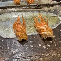 天ぷら とばり - 小ぶりの車海老ですが、それがまた殻が食べやすく口溶けよく好みの食感でした。