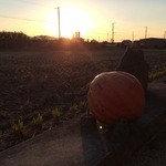 L’ISOLETTA - 淡路島の山の幸？