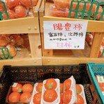 道の駅 柿の郷くどやま - 富有柿と次郎柿がパパとママ