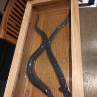 にょろ助 銀座 - 