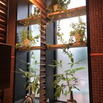 つけソバ いしい - 