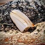 千葉たかおか - 富津の墨烏賊。柑橘の香りのファーストアタック、口の中でパツンと身が弾けて、その後に甘み。