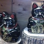 貯水池 鳥山 - 受付にいた招き猫