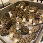 プレゼンテ スギ - 