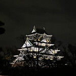 ラサ ボジュン - 