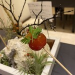 プレゼンテ スギ - 