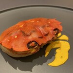 プレゼンテ スギ - 